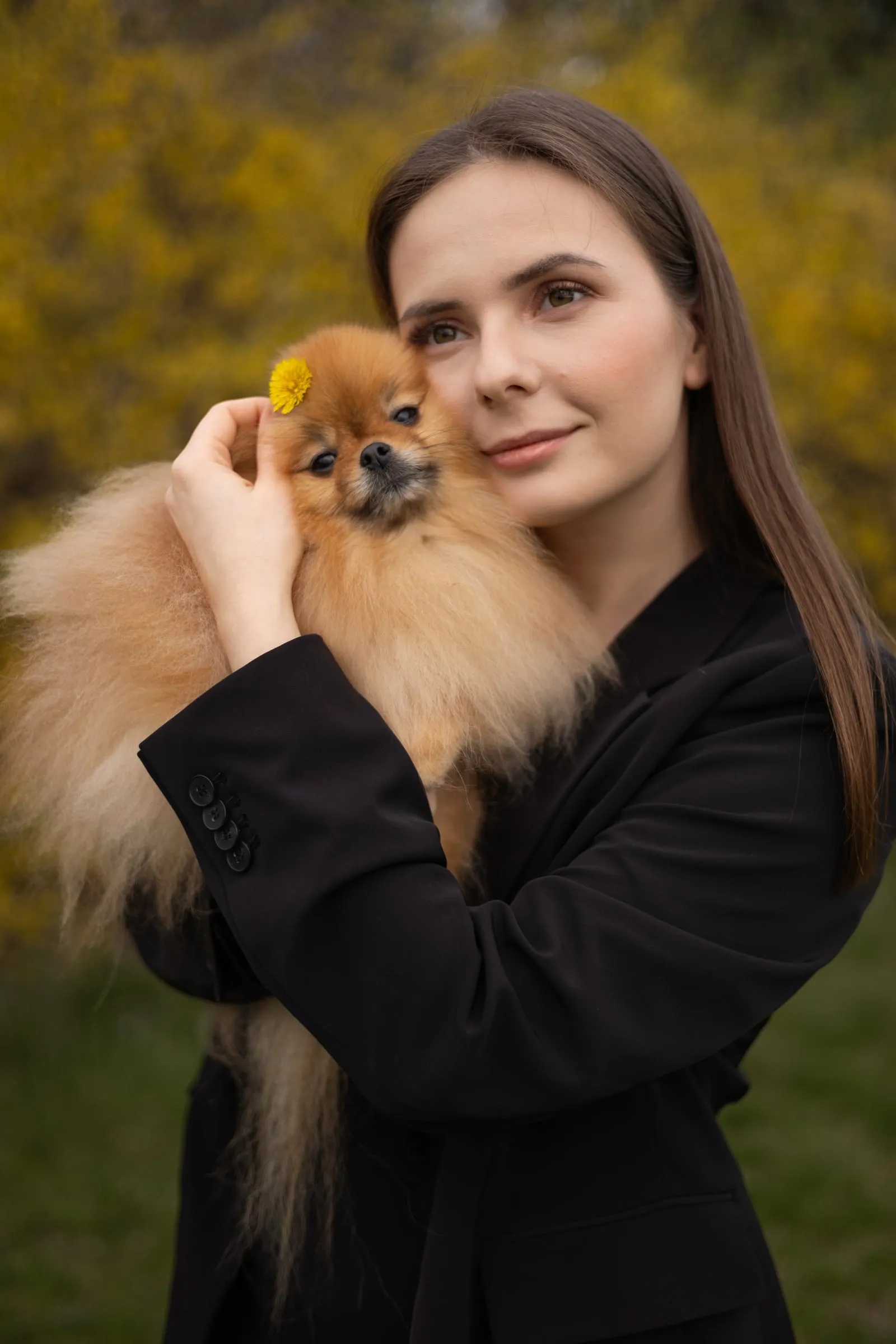 Spring Portraits with a Pomeranian in Plainsboro